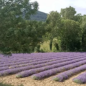 L'etable , La Coucourde France